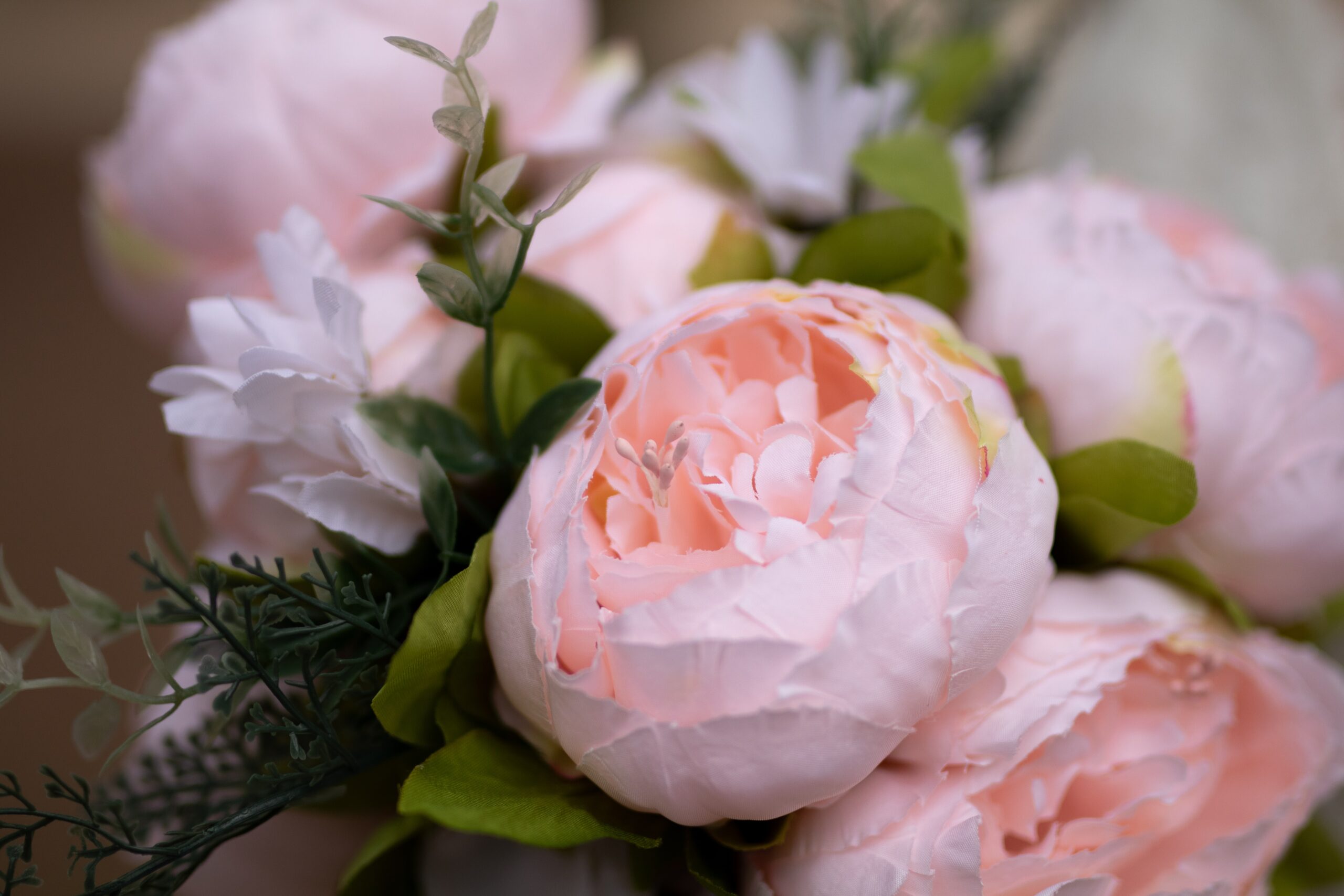Peonies: Meaning and Symbolism