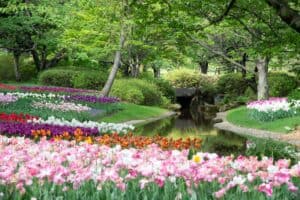 5 Secrets To Transform Your Garden 
