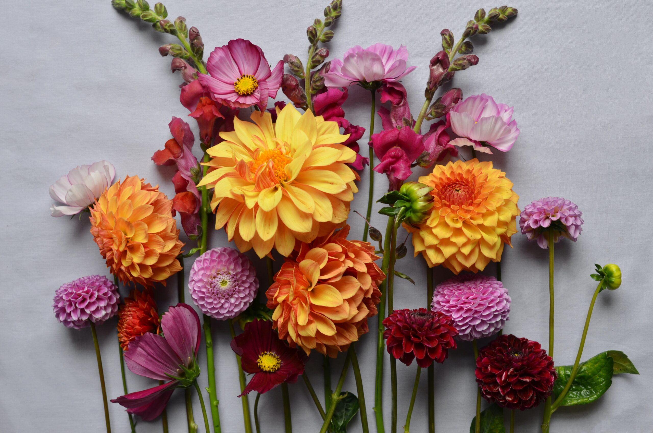 How to use flowers to lift your spirit
