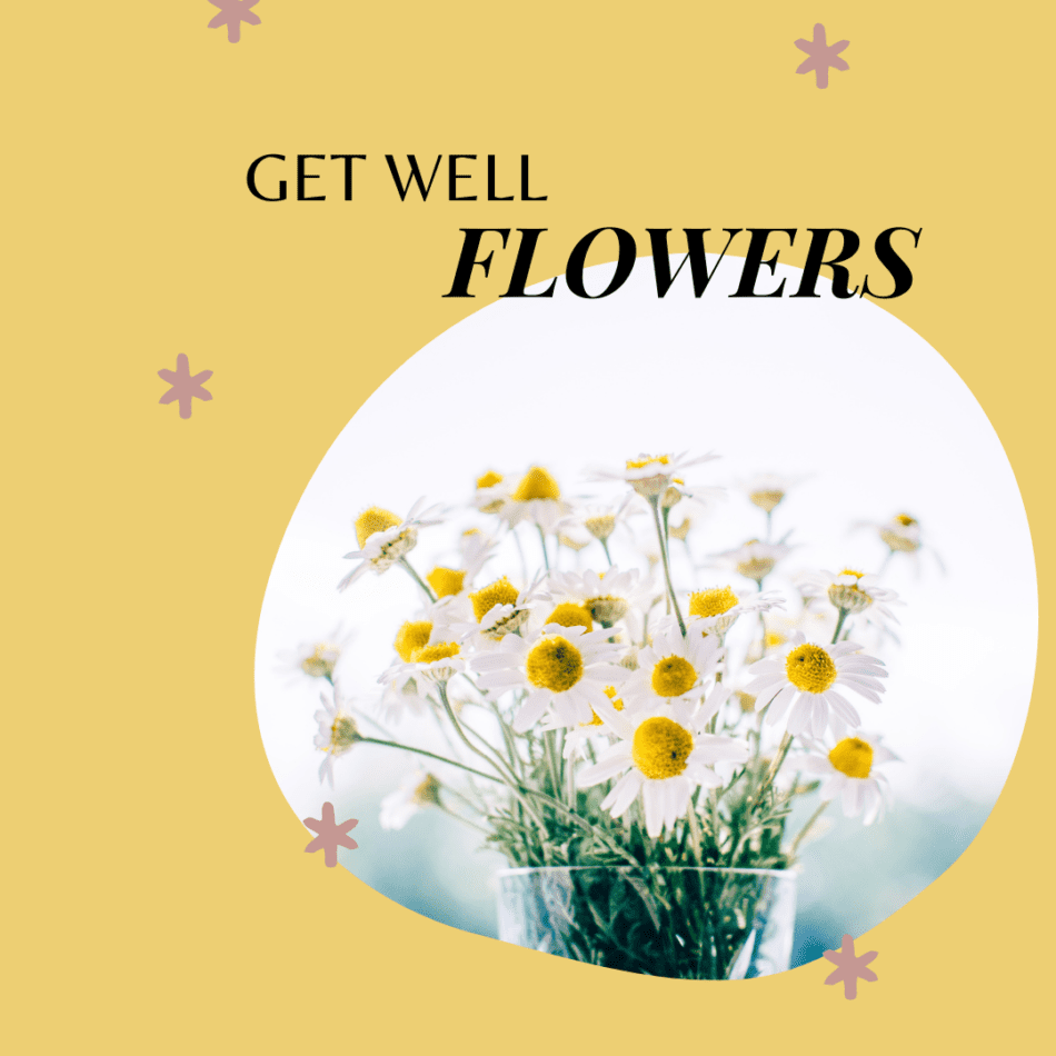 best Get well flowers