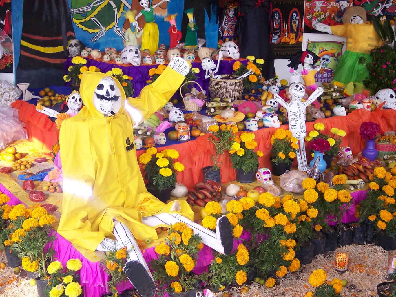 Day of the Dead flowers