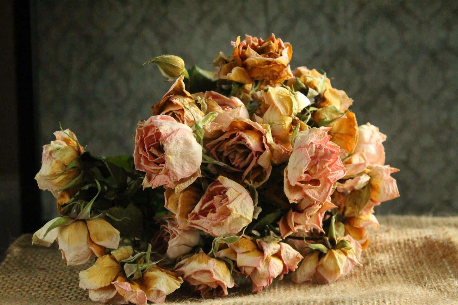 How to preserve flowers