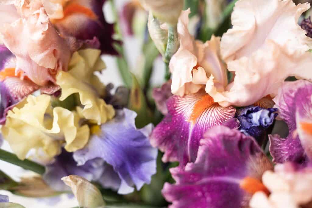 Choosing the Right  Flower Color for Your Wedding Bouquet