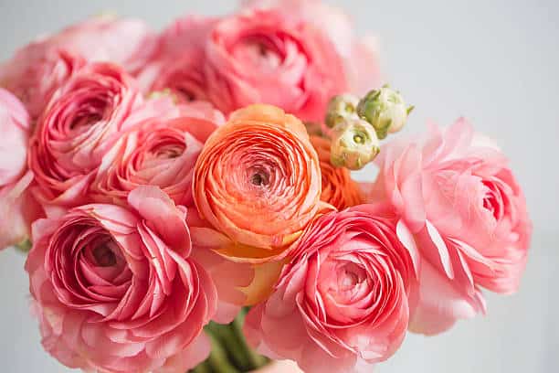 How to Create a Pink Posh Bouquet
