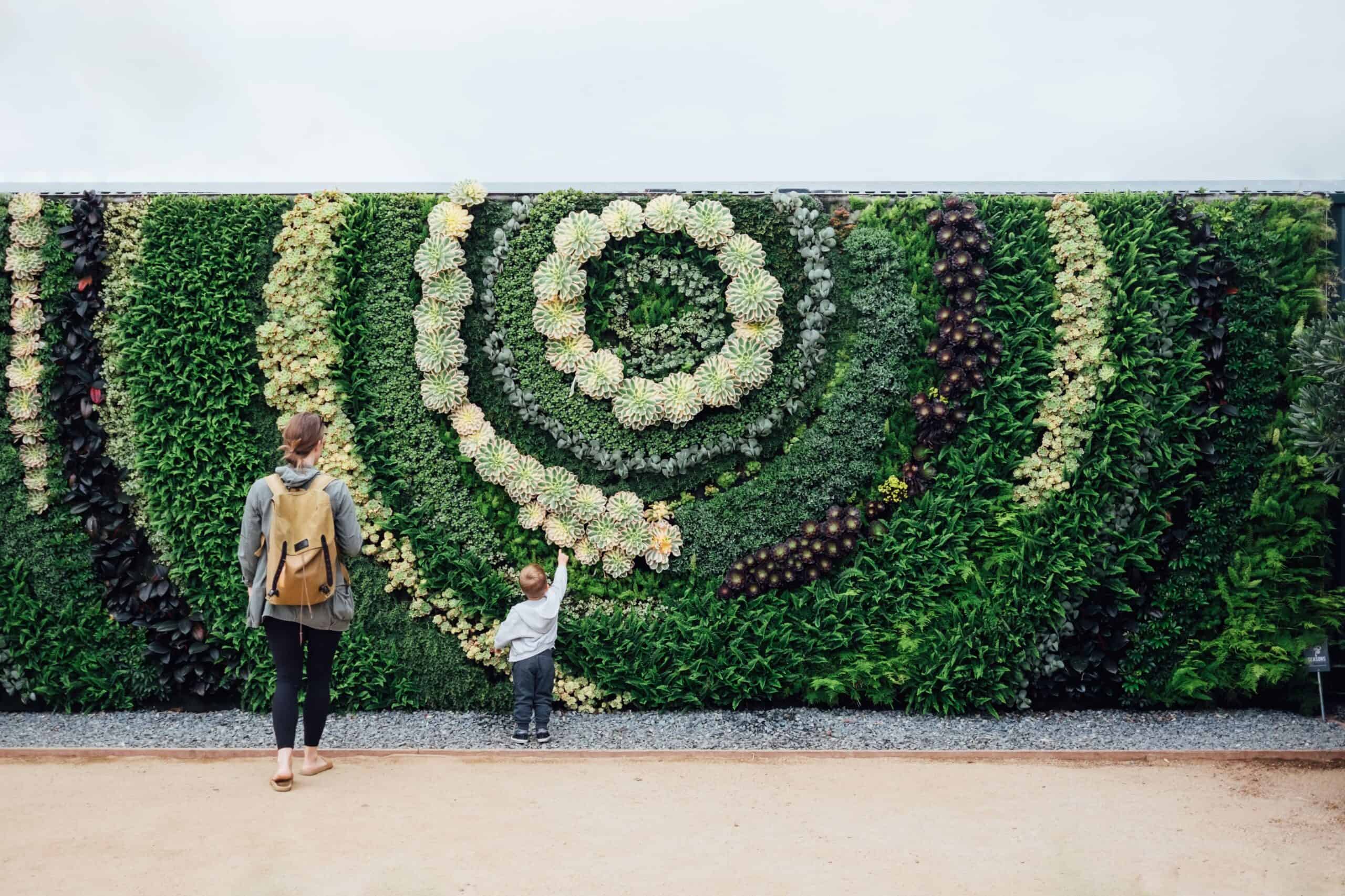How to Make a Green Wall at Home